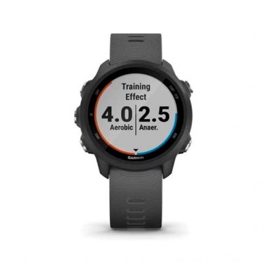 Garmin Forerunner 245 Slate Gray (010-02120-00)