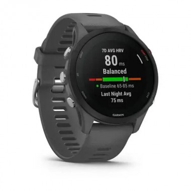 Garmin Forerunner 255 (Slate Gray) (010-02641-00)
