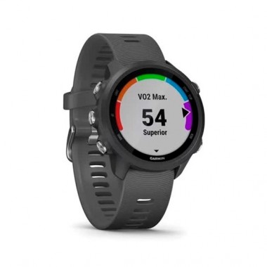 Garmin Forerunner 245 Slate Gray (010-02120-00)