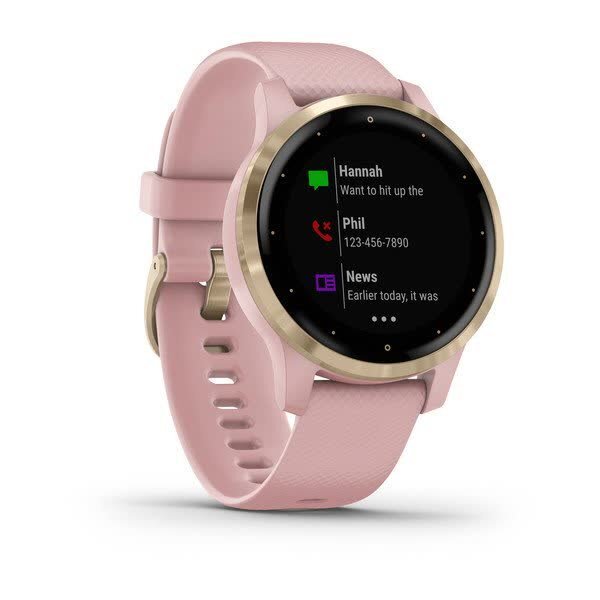 Garmin Vivoactive 4S Light Gold Stainless Steel Bezel with Dust Rose Case and Silicone Band (010-02172-33)
