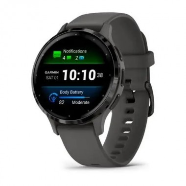Garmin Venu 3S Slate Stainless Steel Bezel with Pebble Gray Case and Silicone Band (010-02785-00)