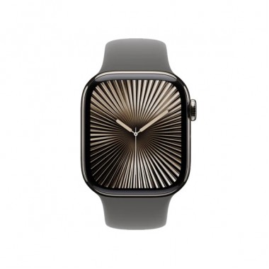 Б/У Apple Watch Series 10 GPS + Cellular 42mm Natural Titanium Case with Stone Grey Sport Band M/L