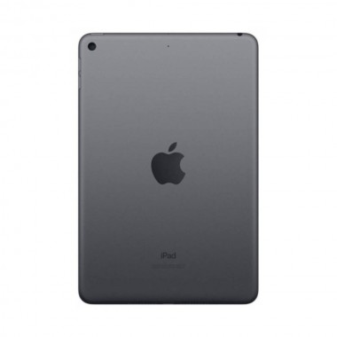 New Apple iPad mini 5 Wi-Fi + LTE 256GB Space Gray (MUXM2) 2019