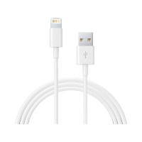 Apple Lightning 1 m