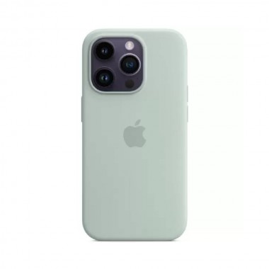 Чехол Apple Silicone Case for iPhone 14 Pro Max with MagSafe Succulent